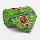 Search for ranching ties Texas