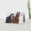 Search for funny horse cards Winter