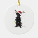 Search for labrador dog christmas decor Santa