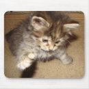 Search for batting mouse mats Kitten