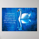 Search for witty posters Lovely