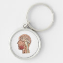 Search for neuroscience key rings Brain