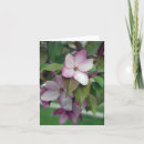Search for apple birthday cards Green