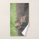 Search for blurred photography Canada
