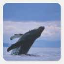 Search for made in alaska stickers Pacific ocean