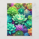 Search for alo postcards Cacti