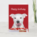 Search for bull terrier birthday cards Dog lover