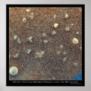 Search for electronic microscope posters Science