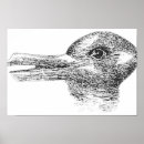 Search for cartoon duck posters Illusion