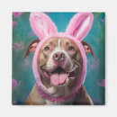 Search for pitbull magnets Pink