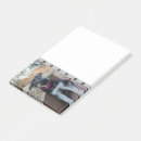 Search for herding cards invites Dog