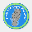 Search for manatee magnets Dugong