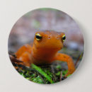 Search for salamander round badges Animal