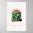 Search for flowering plants posters For her