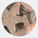 Search for aquatic animal stickers Nautical