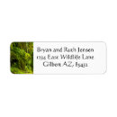 Search for bridge return address labels Scenic