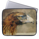 Search for eagle feather electronics Hawk