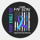 Search for miss america stickers Awareness