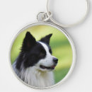 Search for border collie dog key rings Animal