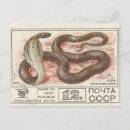 Search for cobra postcards Animal