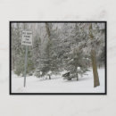 Search for winter humour postcards Funny