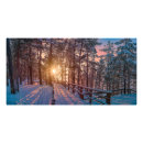 Search for snow covered trees posters Forest