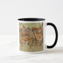 Search for impala mugs Aepyceros melampus