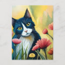 Search for stray cards Cute
