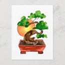 Search for bonsai tree postcards Gardening