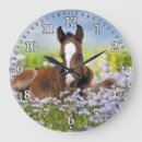 Search for horse clocks Mare