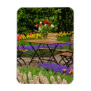 Search for tulips rectangular magnets Pattern