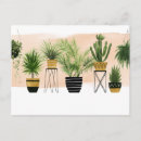 Search for oasis postcards Pam tree