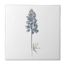 Search for state tiles Texas