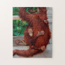 Search for malaysia puzzles Borneo