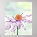 Search for cone flower posters Watercolor