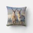 Search for americana cushions Elizabeth boehm