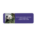 Search for panda return address labels Bear