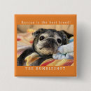 Search for breed square badges Dogs