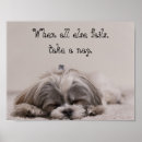 Search for shihtzu art Pet