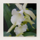 Search for orchid puzzles Leaf