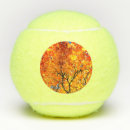 Search for orange tennis balls Nature