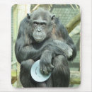 Search for chimpanzees mouse mats Primate