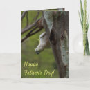 Search for bird fathers day cards Animal