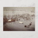 Search for vintage valentine postcards Happy valentine's day