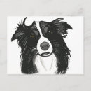 Search for herd dog postcards Sheepdog