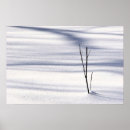 Search for twigs posters Snow