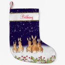 Search for rabbit with a christmas stockings Winter
