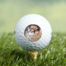Search for bird golf balls Falcon