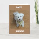 Search for new driver cards Teen boy