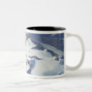 Search for canopy mugs Aviators